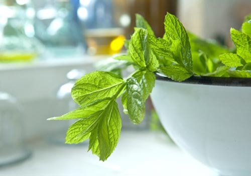 Peppermint for IBS