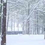 Across the street-Winter Storm of Dec 18, 2009 in Charlottesville, VA