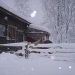 Snow 2010 