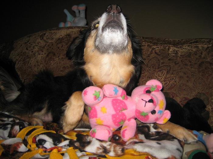 So vicious with Strawberry Bear..