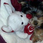 She~She loves her teddy;-)))