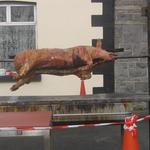 barbecue pig for paddy's day ,..