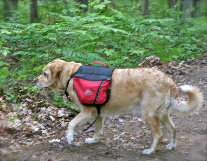Cassy Lou Backpacking