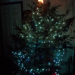 Our tree 2010