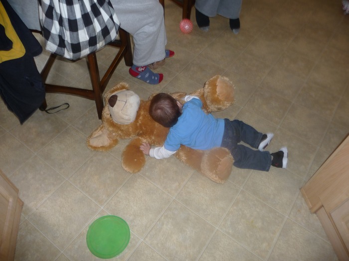 he loved the big bear