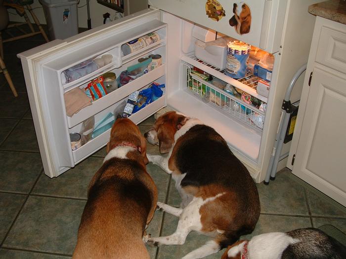 Keepin' cool.....the expensive way