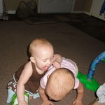 Kylie trying to eat Taylors head.