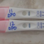 You can't see the line on 11DPO very well (it was very lite) but you can see the 12DPO line better! 