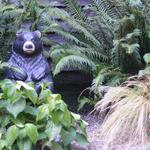 The Garden Bear