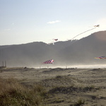 kites at seaside