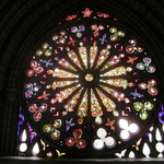 Stained Glass Representing  All Different Kinds of Orchids in Ecuador