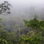 Amazon Rainforest...Awesome...