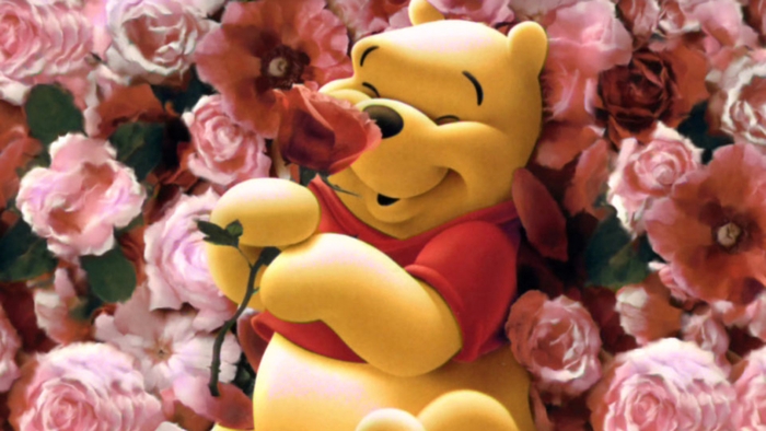 pooh loves flowers