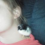 My sister with her "baby".  It chirps for her and it's all calm when Danielle gets her lol.  