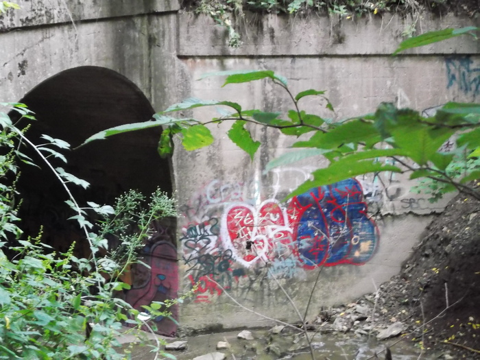 Graffitied Sewer.