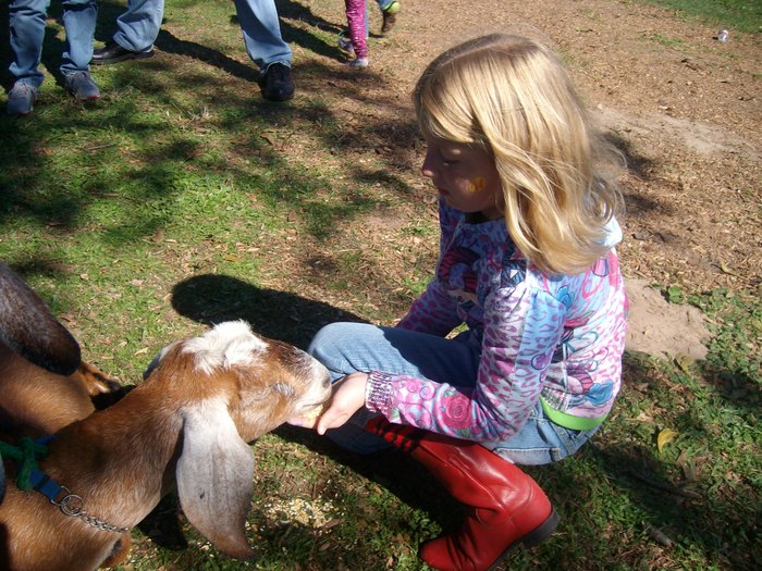 Hannah feeding the goats