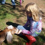 Hannah feeding the goats