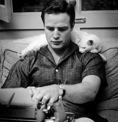 Brando with kitty.