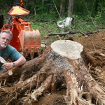 I still like to play in the dirt.  Here I'm digging a stump out in my woods.