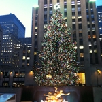2012 tree at Rockefeller Center with Promanade