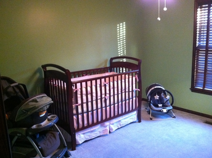 Thank you to my bro and hubby for helping me get a great start on the nursery! I love it!!!