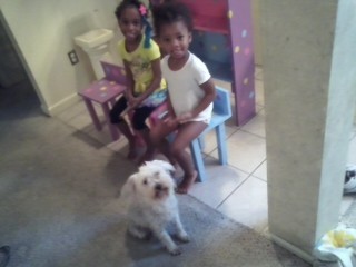 Angel and Heaven trying out their new chair with their dog, Amelia looking on.