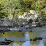 \river and rocks with trees