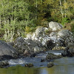 river rocks and trees