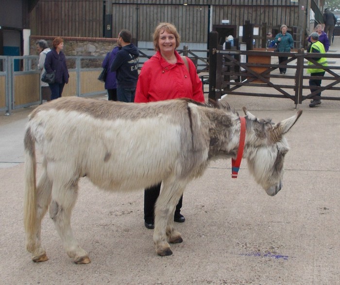 April 2014 visit to see rescued donkeys