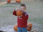 Daniel's 1st visit to a pumpkin patch