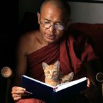 Buddhist Monk and Buddhist Kitten