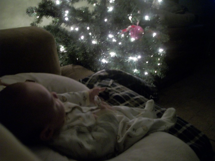 my lil boo not feeling well, loves watching the christmas lights