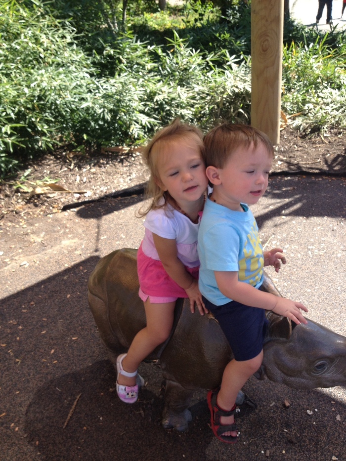 Fun at the zoo