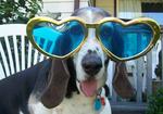 Patriarc Basset who passed in 2007- We miss you Baylee