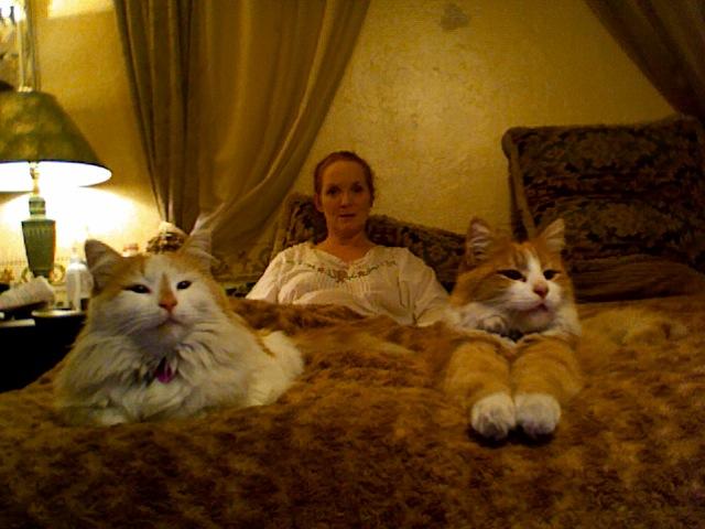 My kitties and me holding court