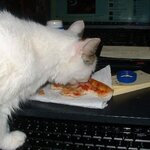7 Years Ago Today - Miss Teia discovers pizza.