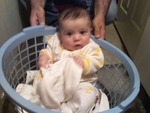 in the laundry basket