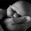 A Peek Inside: 5 Amazing Fetal Development Photos