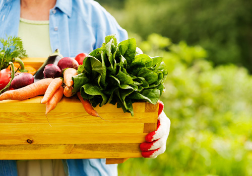 15 Minutes: Sign Up for Fresh Produce Delivery 