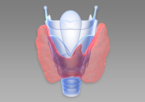 Types of Thyroid Trouble