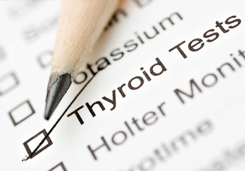 Breaking Down Thyroid Vocabulary