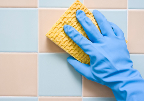 Precautions for Housecleaners