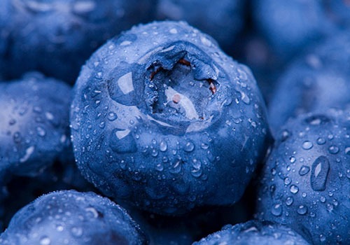 Fruit: Blueberries