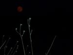 The Red Moon at night,Bulgeria