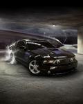 mustang i created on mustang site