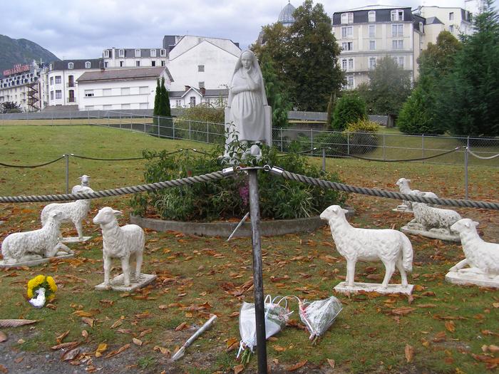 bernadette with sheep