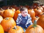 in the pumpkins