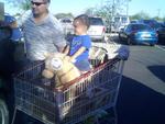 Let him play with it and couldn't get him off of it! He rode it out of the store!