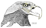 The Eagle in black & White done using PAINT