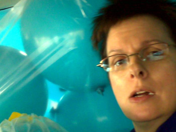 Lisa in Shamus' Van with the 100 helium balloons we blew up